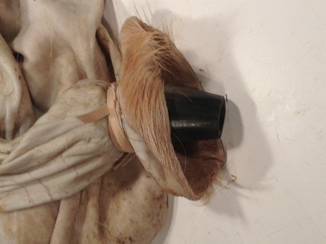 chanter stock tied in