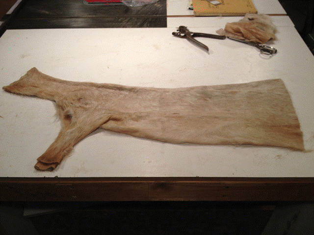 cut to size