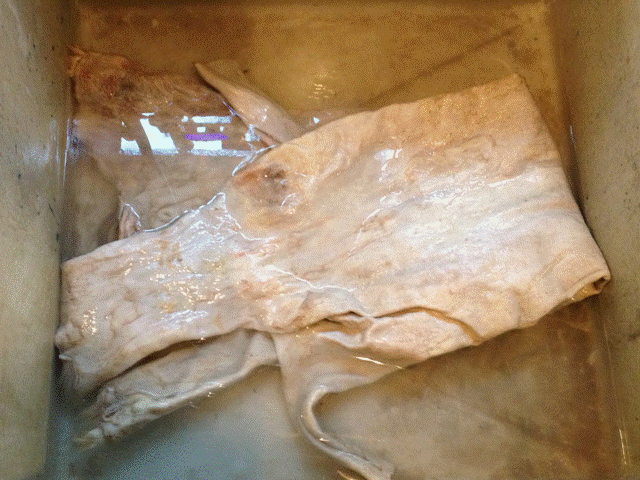 soaking bag